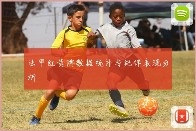 法甲红黄牌数据统计与纪律表现分析