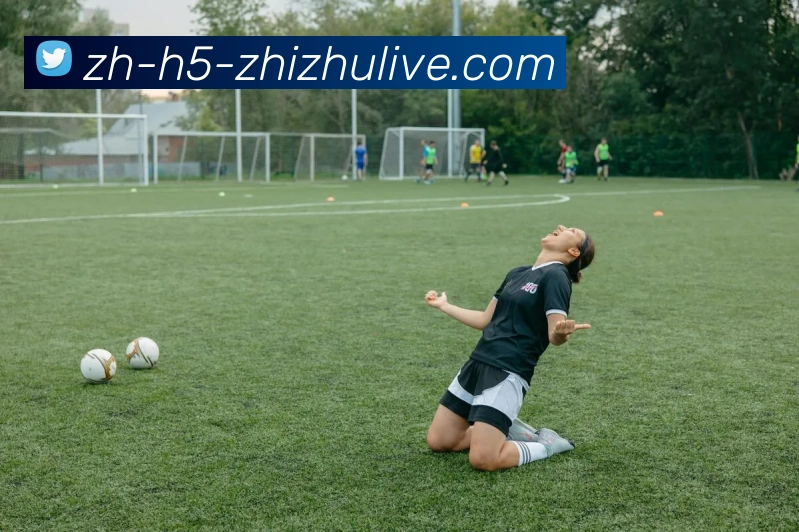 蜘蛛直播全站App